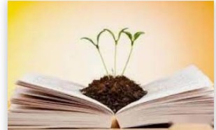 蓝冠液态职场,蓝冠有什么人才？