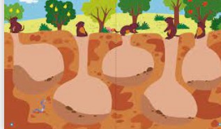 蓝冠怎么招商代理?,蓝冠总代理