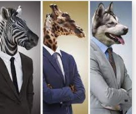 蓝冠登录注册,蓝冠注册网址