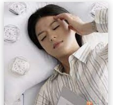 蓝冠职场生态,蓝冠注册网址