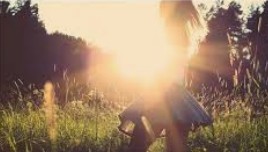 蓝冠平台用户,蓝冠代理职场模拟