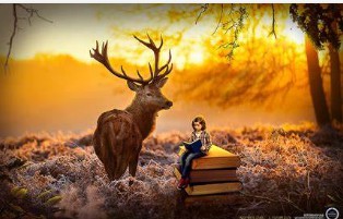 蓝冠娱乐液态化管理,蓝冠平台登录