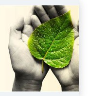 蓝冠代理,蓝冠注册帐号