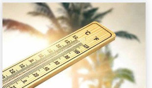 蓝冠主管,蓝冠招商的真实