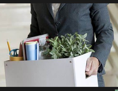 蓝冠液态职场,蓝冠有什么人才？